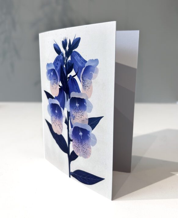 botanopia, cards / + options